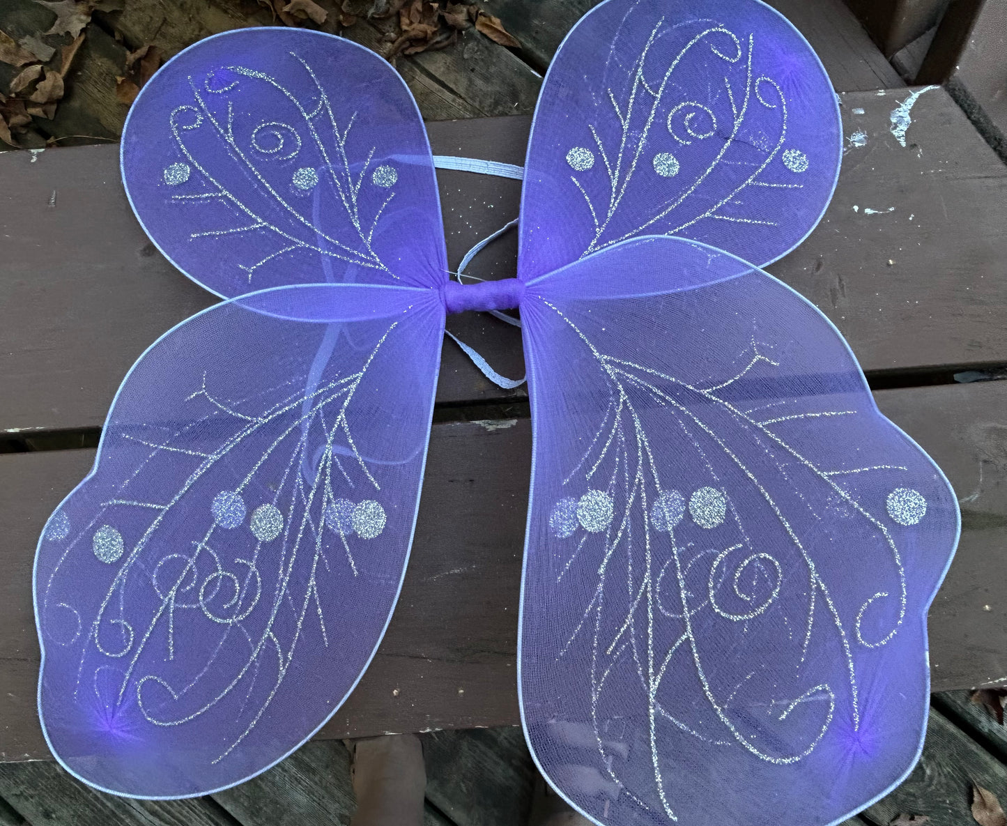 Child Fairy Wings - MISS LESTER'S