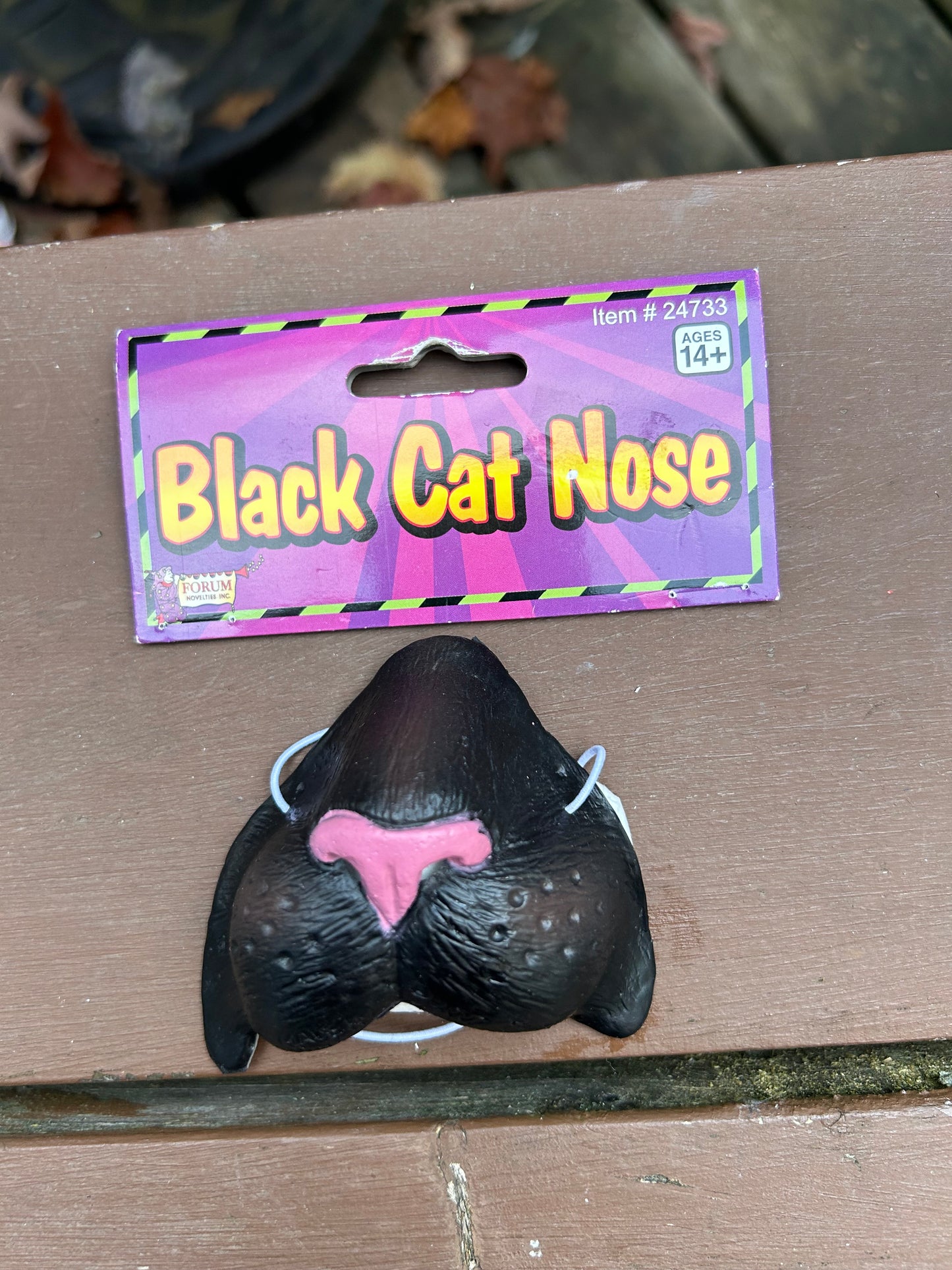 Animal Noses for children - MISS LESTER'S