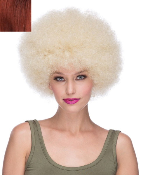 Black Afro Wig 1192 - MISS LESTER'S