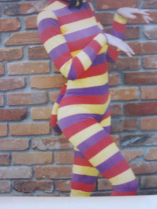 Small Adult Stripped Cheshire Cat Costume 50 - MISS LESTER'S 