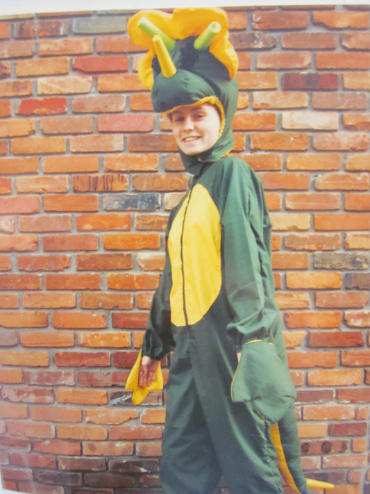 Small Adult Dinasaur Costume 31 - MISS LESTER'S 