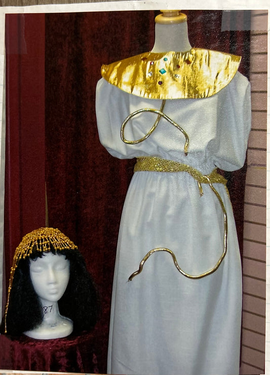 Small Adult Cleopatra Costume 36 - MISS LESTER'S 