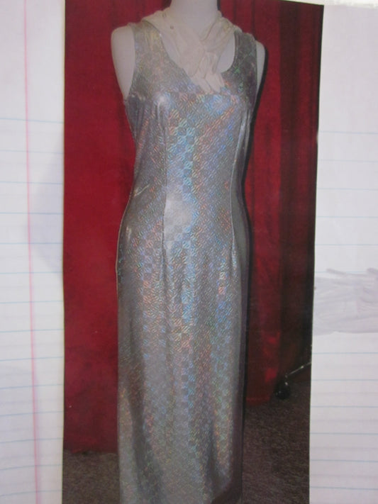 Small Adult Supremes Silver Costume 13 - MISS LESTER'S 