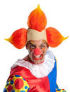 Evil Clown Wig 51931