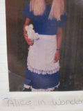 A60    ALICE IN WONDERLAND COSTUME