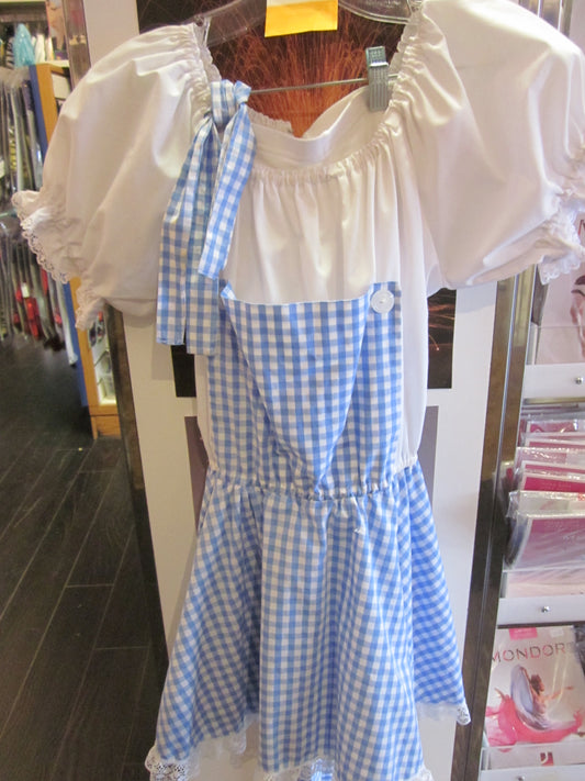 MODERN DOROTHY COSTUME #91 - MISS LESTER'S 
